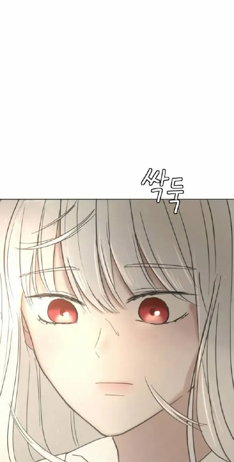 I Adopted a Male Lead From a Prison Shelter Chapter 12 page 8 - 
