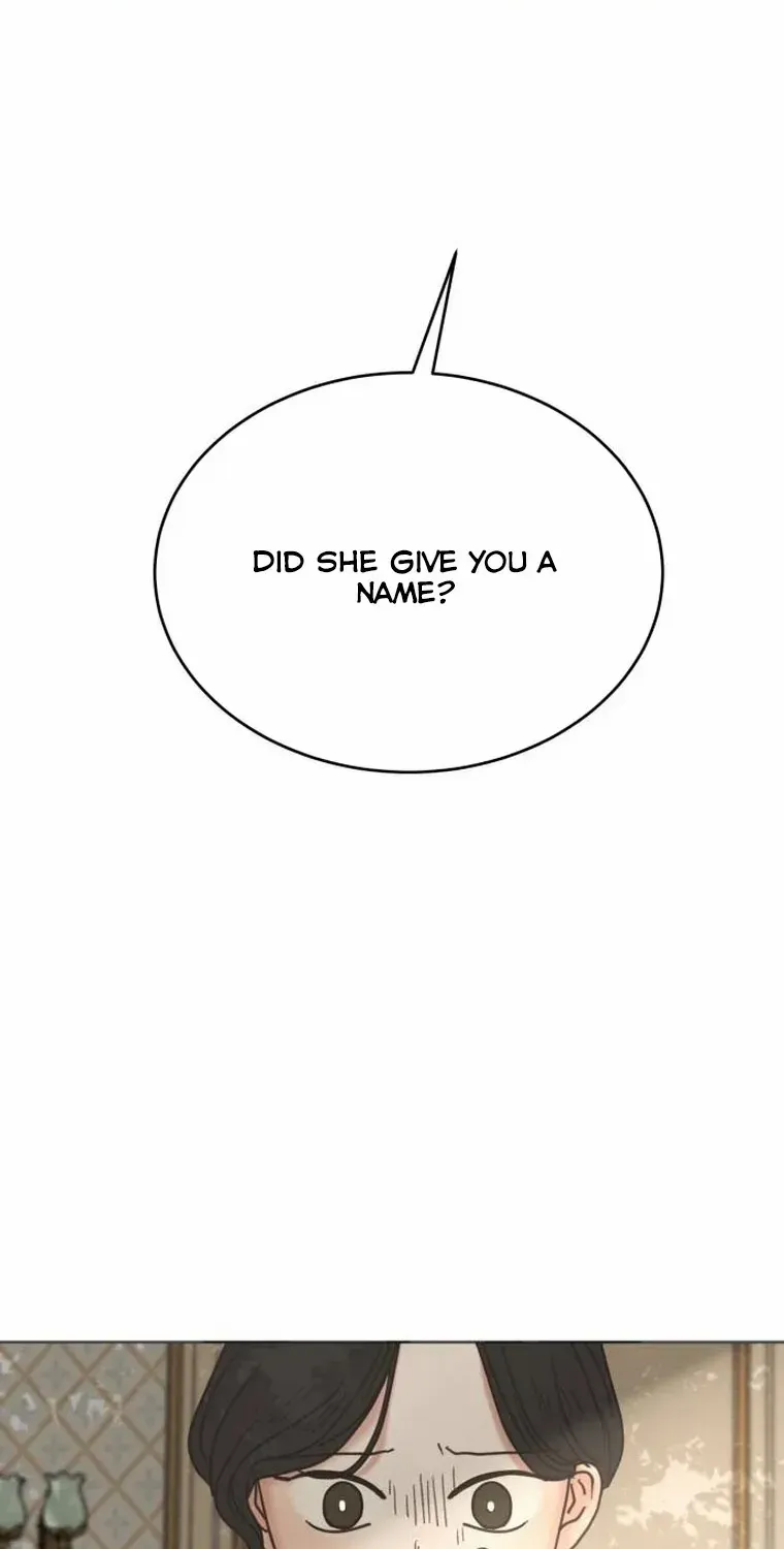 I Adopted a Male Lead From a Prison Shelter Chapter 15 page 36 - 