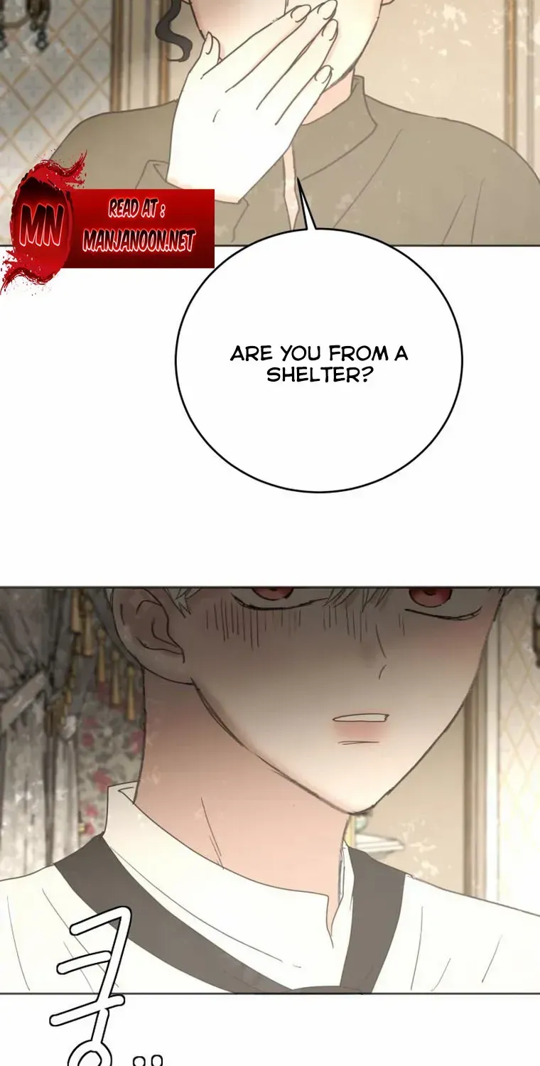 I Adopted a Male Lead From a Prison Shelter Chapter 15 page 37 - 