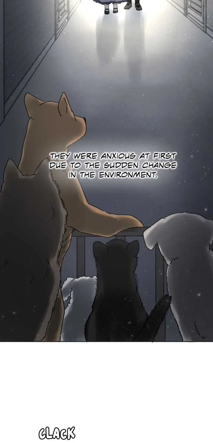 I Adopted a Male Lead From a Prison Shelter Chapter 18 page 2 - 