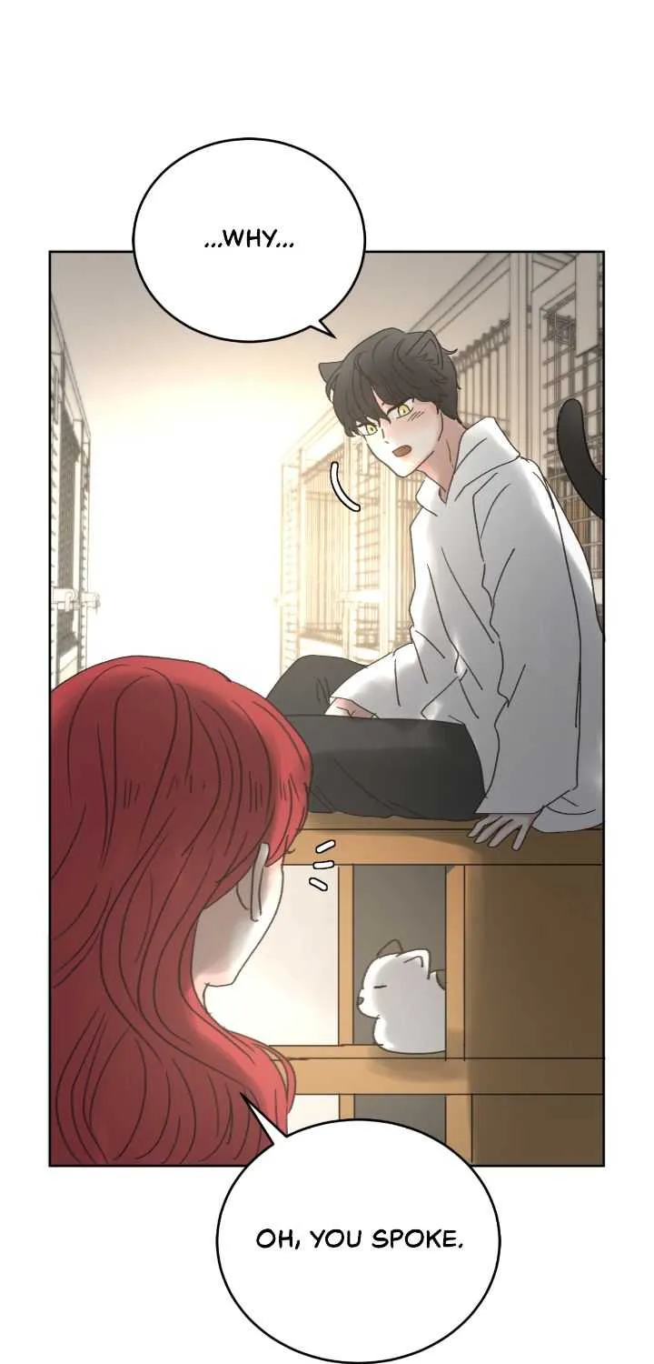 I Adopted a Male Lead From a Prison Shelter Chapter 18 page 16 - 
