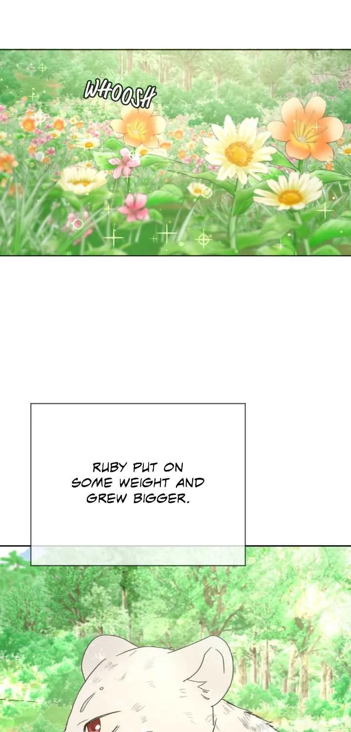 I Adopted a Male Lead From a Prison Shelter Chapter 18 page 28 - 