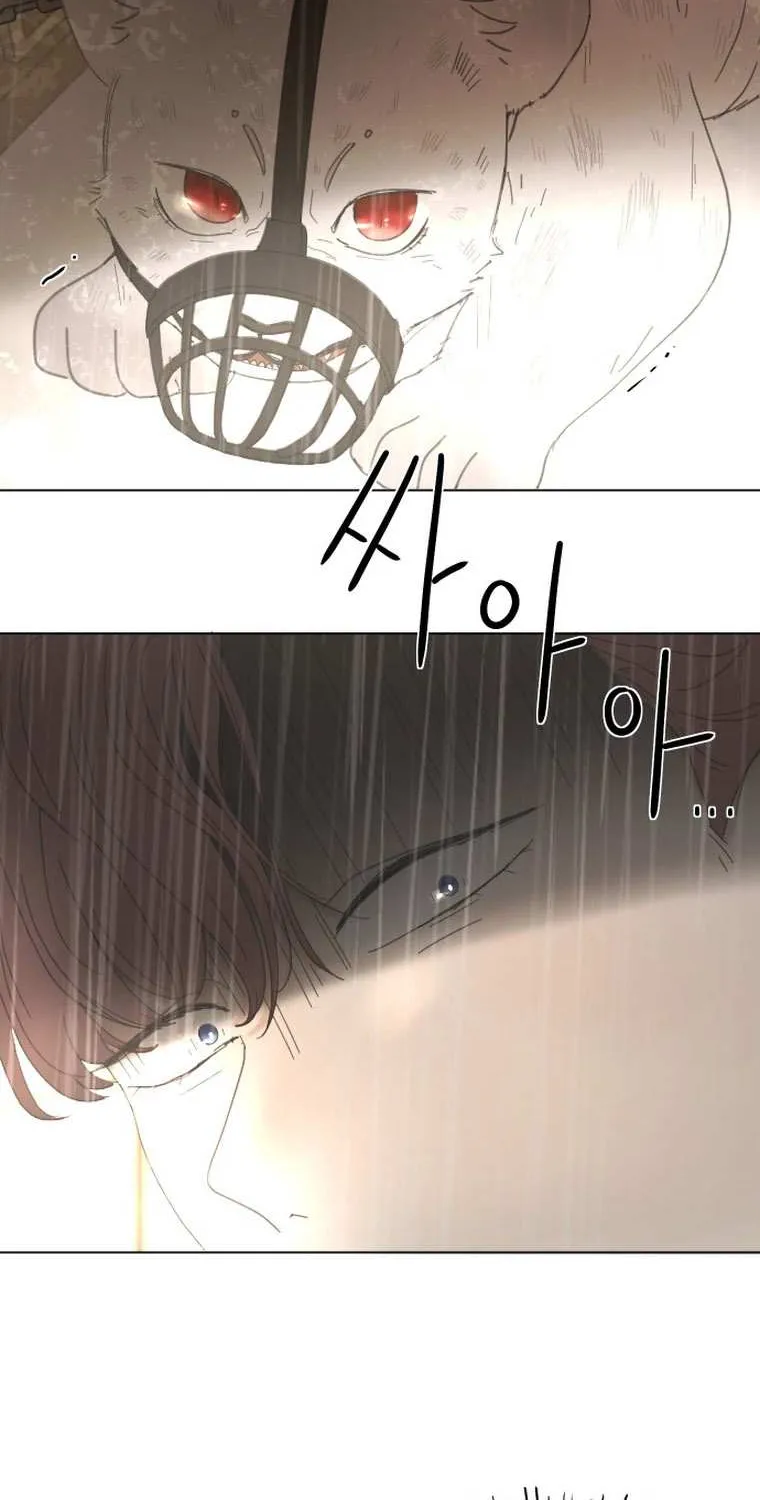 I Adopted a Male Lead From a Prison Shelter Chapter 2 page 13 - 
