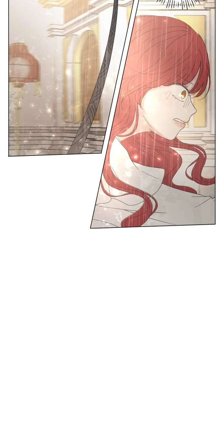 I Adopted a Male Lead From a Prison Shelter Chapter 2 page 16 - 