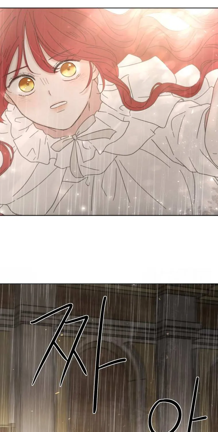 I Adopted a Male Lead From a Prison Shelter Chapter 2 page 19 - 