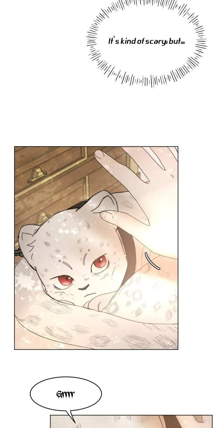 I Adopted a Male Lead From a Prison Shelter Chapter 2 page 54 - 