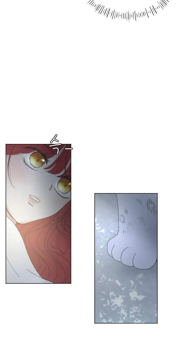 I Adopted a Male Lead From a Prison Shelter Chapter 2 page 79 - 