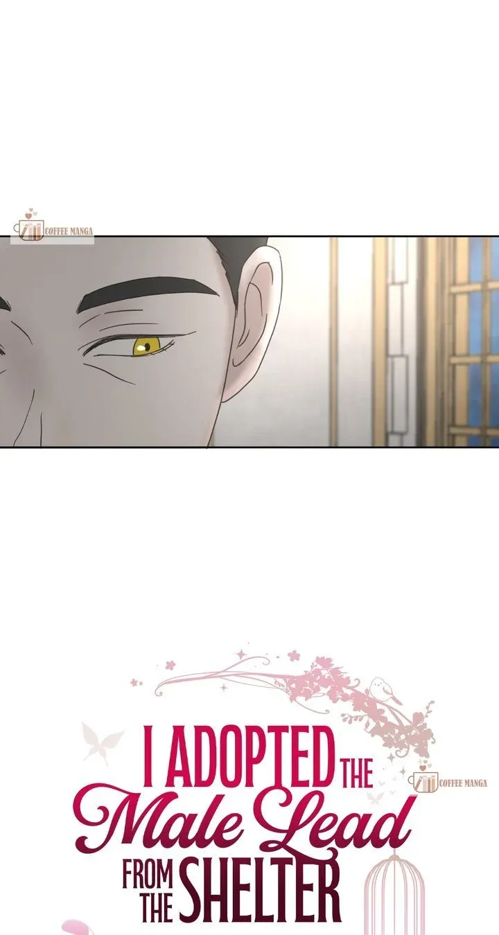 I Adopted a Male Lead From a Prison Shelter Chapter 23 page 9 - 