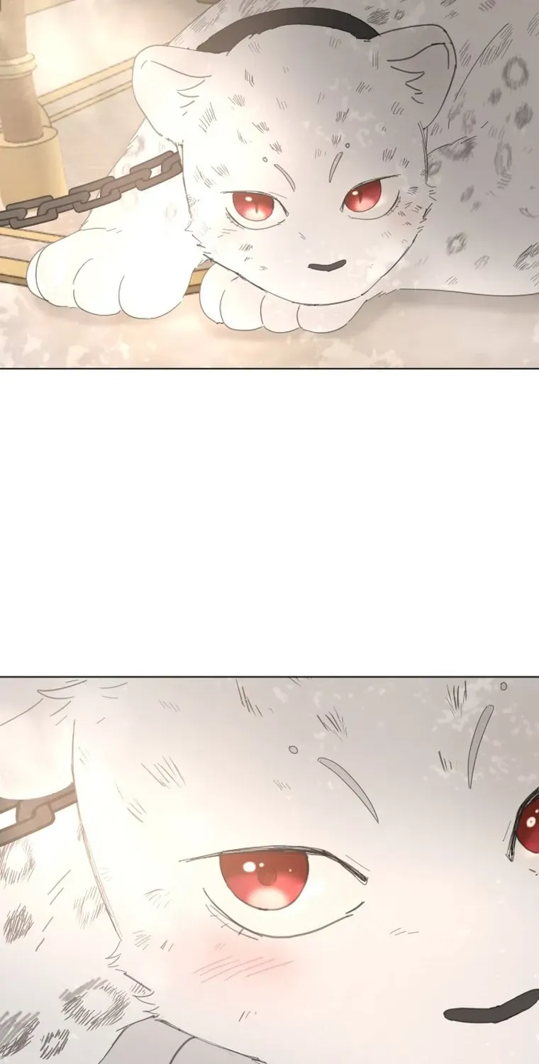 I Adopted a Male Lead From a Prison Shelter Chapter 3 page 63 - 