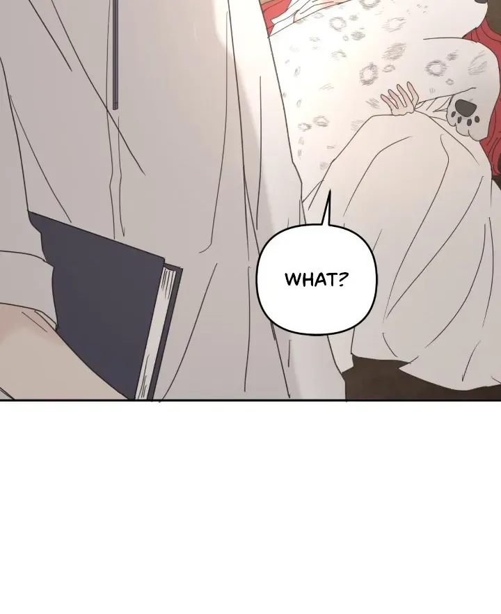 I Adopted a Male Lead From a Prison Shelter Chapter 32 page 16 - 