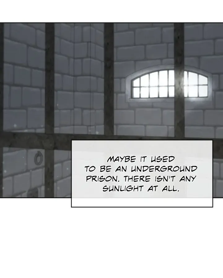I Adopted a Male Lead From a Prison Shelter Chapter 37 page 67 - 