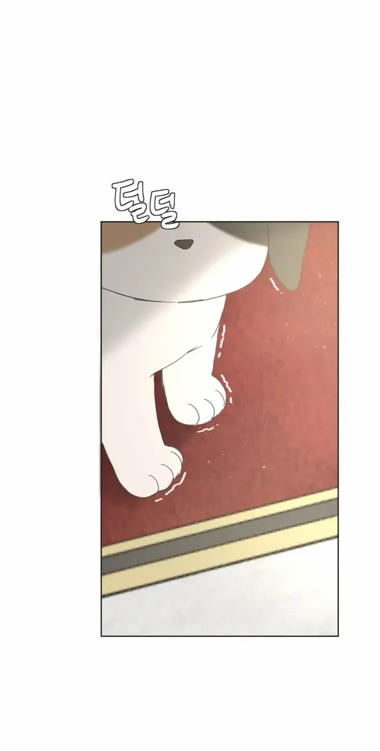 I Adopted a Male Lead From a Prison Shelter Chapter 4 page 56 - 
