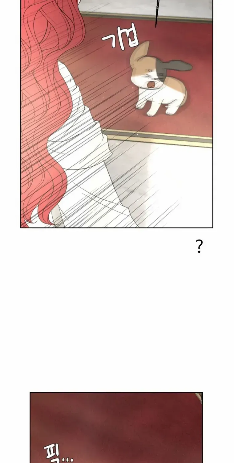 I Adopted a Male Lead From a Prison Shelter Chapter 4 page 63 - 