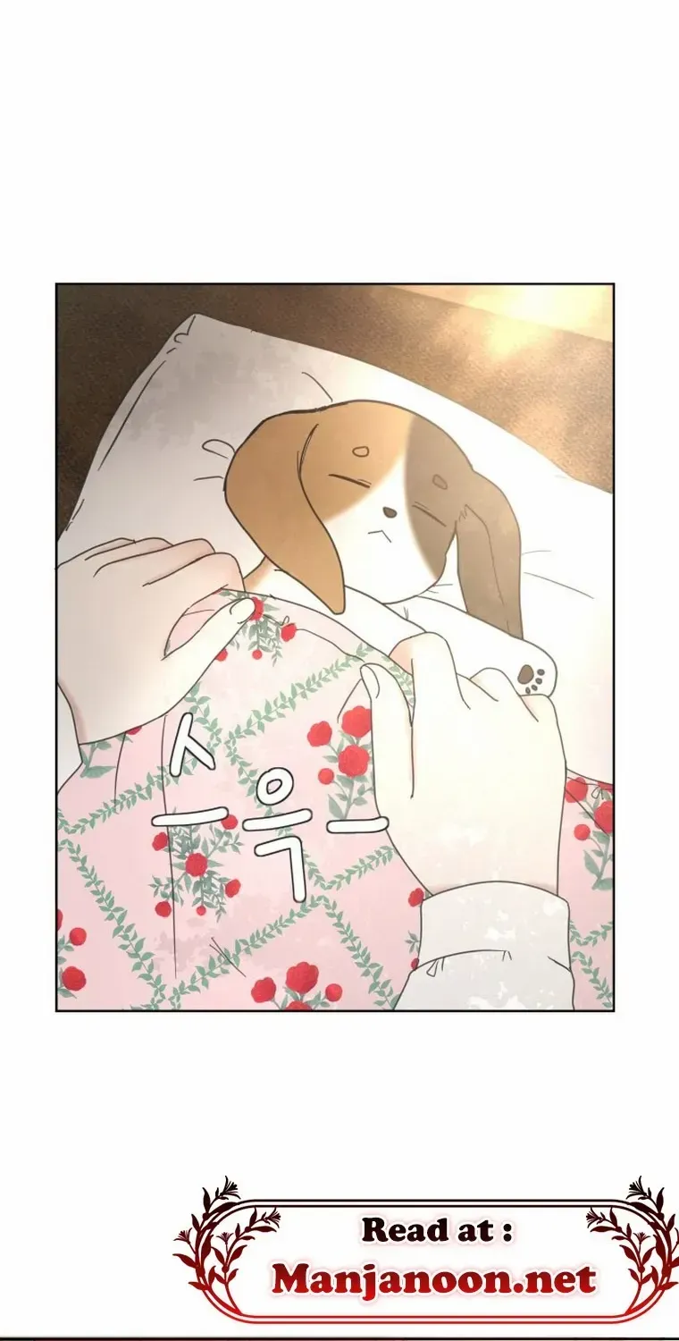 I Adopted a Male Lead From a Prison Shelter Chapter 4 page 84 - 