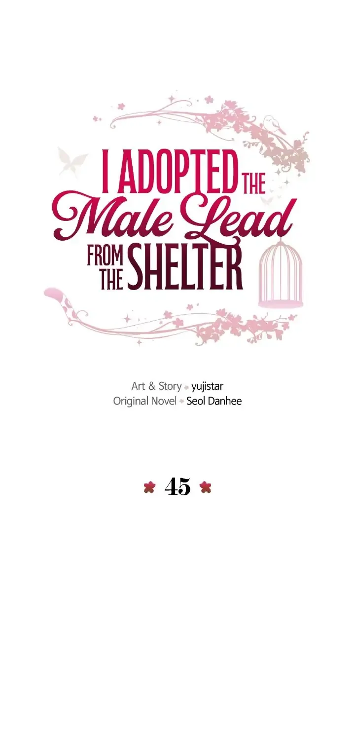 I Adopted a Male Lead From a Prison Shelter Chapter 45 page 12 - 