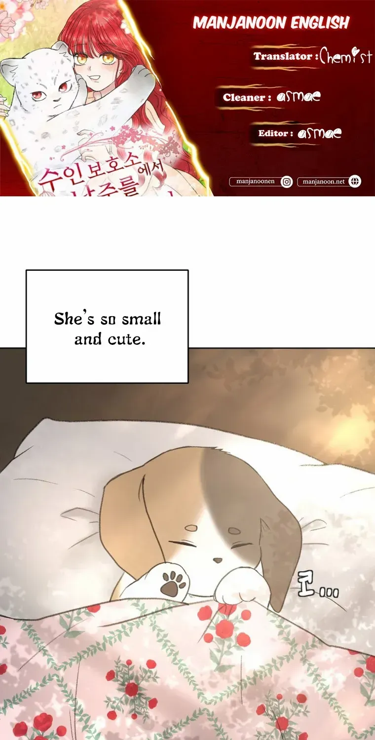 I Adopted a Male Lead From a Prison Shelter Chapter 5 page 2 - 