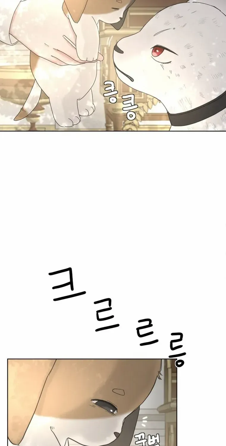 I Adopted a Male Lead From a Prison Shelter Chapter 5 page 13 - 