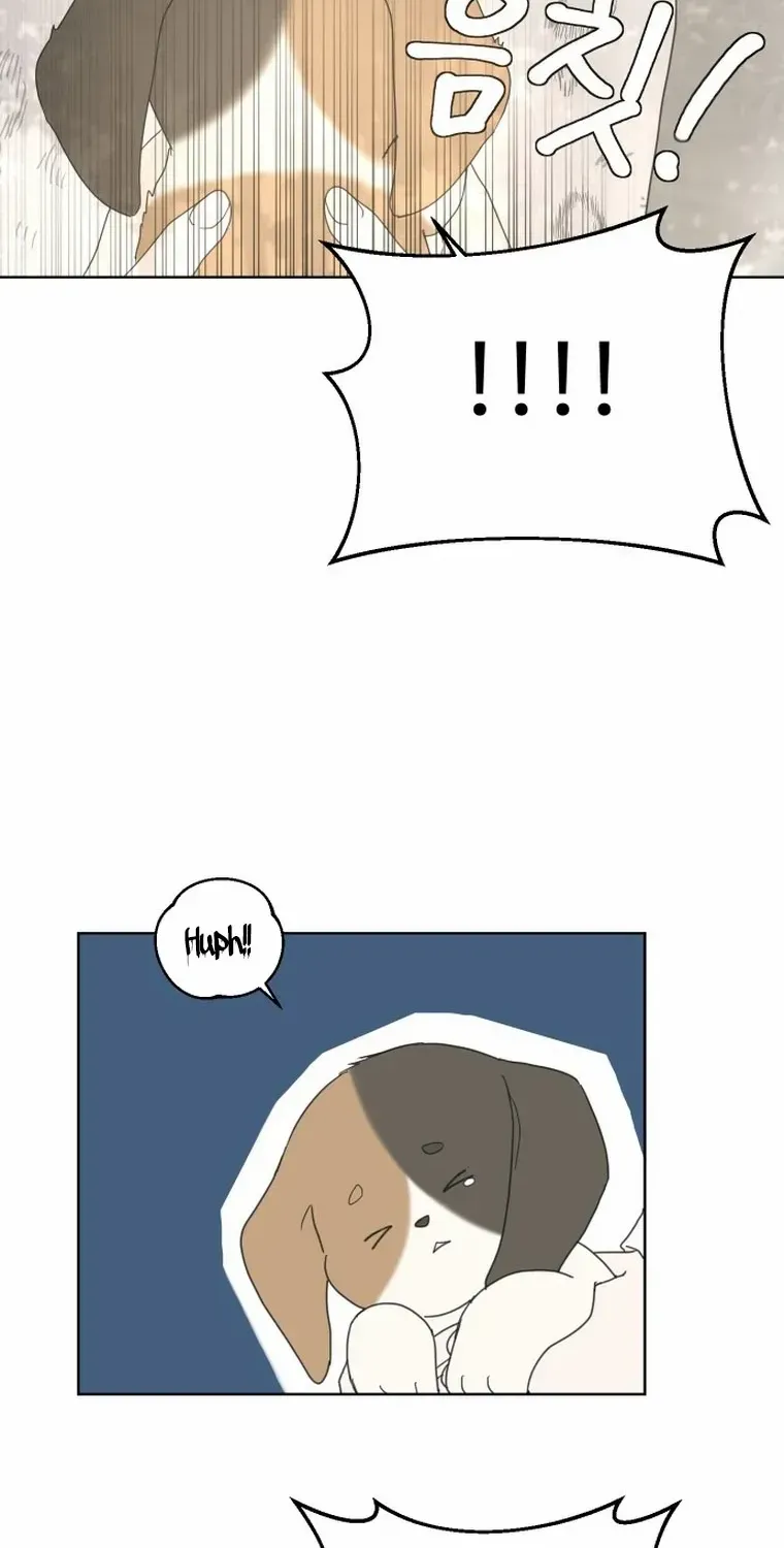 I Adopted a Male Lead From a Prison Shelter Chapter 5 page 15 - 
