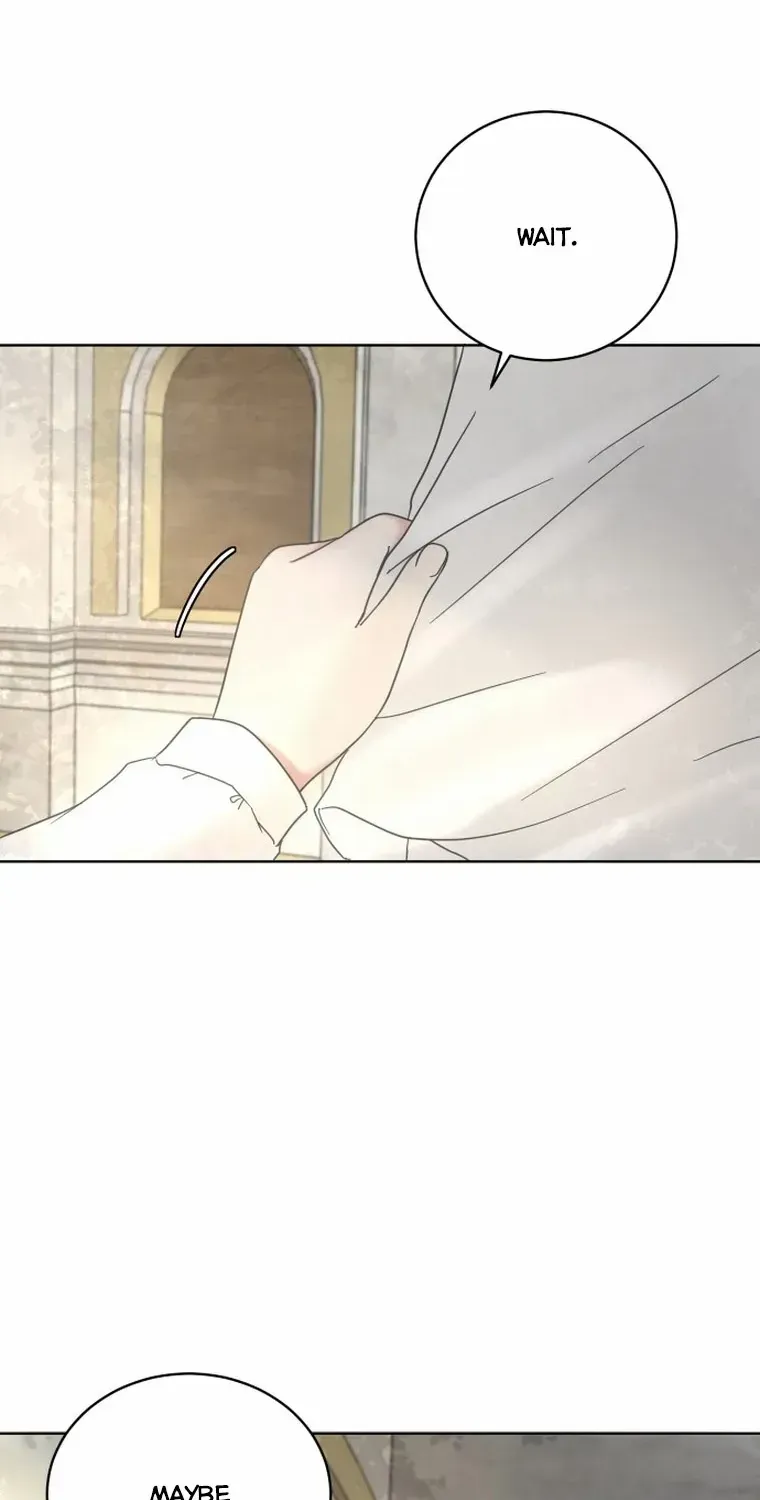 I Adopted a Male Lead From a Prison Shelter Chapter 5 page 33 - 