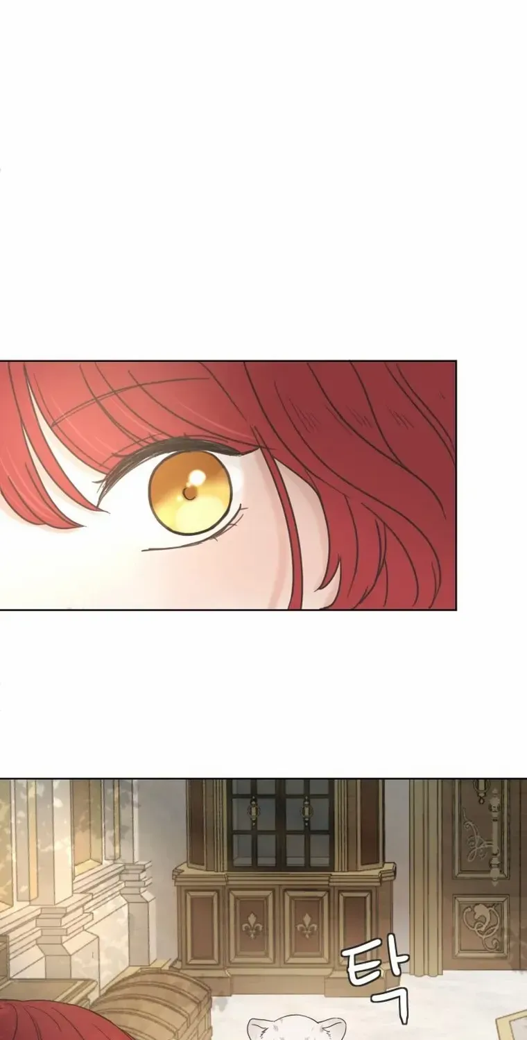 I Adopted a Male Lead From a Prison Shelter Chapter 5 page 7 - 