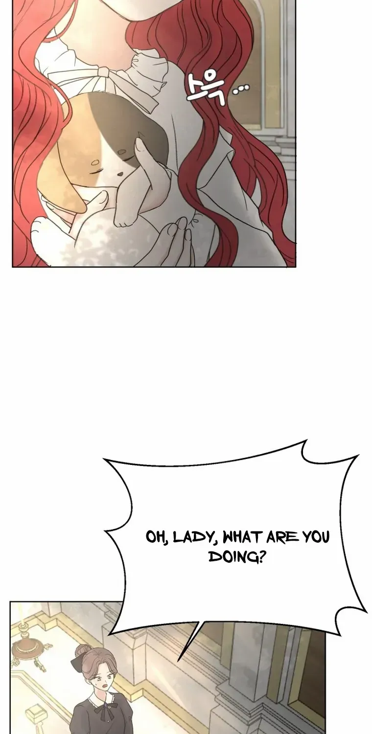 I Adopted a Male Lead From a Prison Shelter Chapter 5 page 10 - 