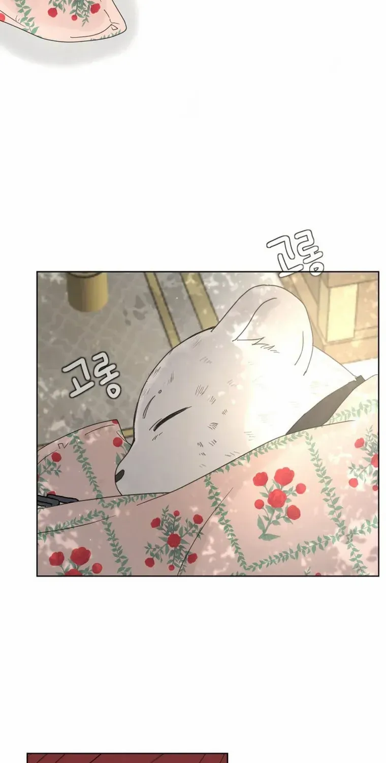 I Adopted a Male Lead From a Prison Shelter Chapter 6 page 70 - 