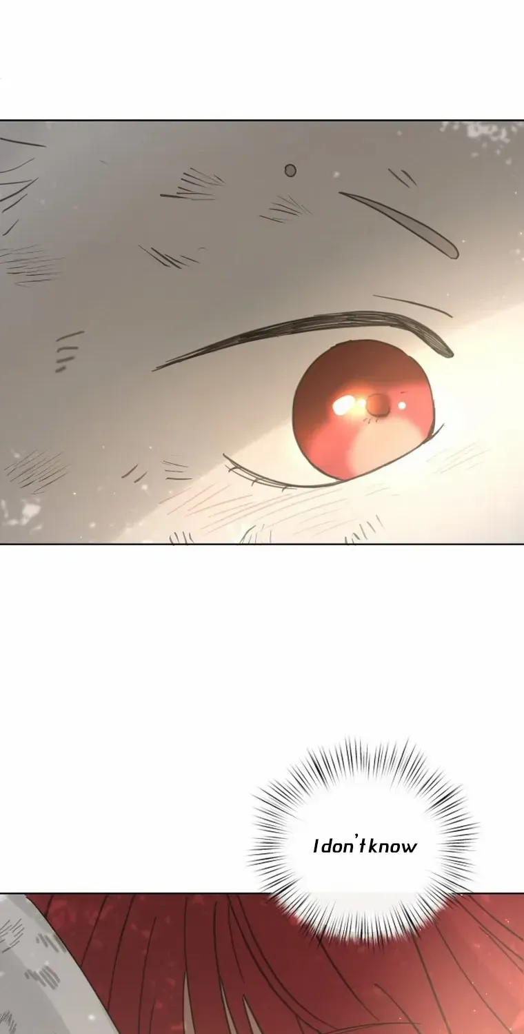 I Adopted a Male Lead From a Prison Shelter Chapter 6 page 97 - 