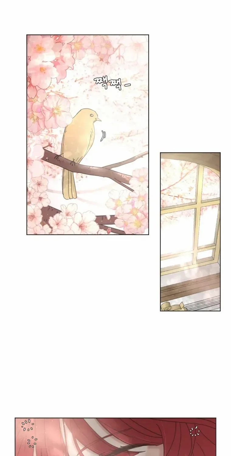 I Adopted a Male Lead From a Prison Shelter Chapter 7 page 12 - 