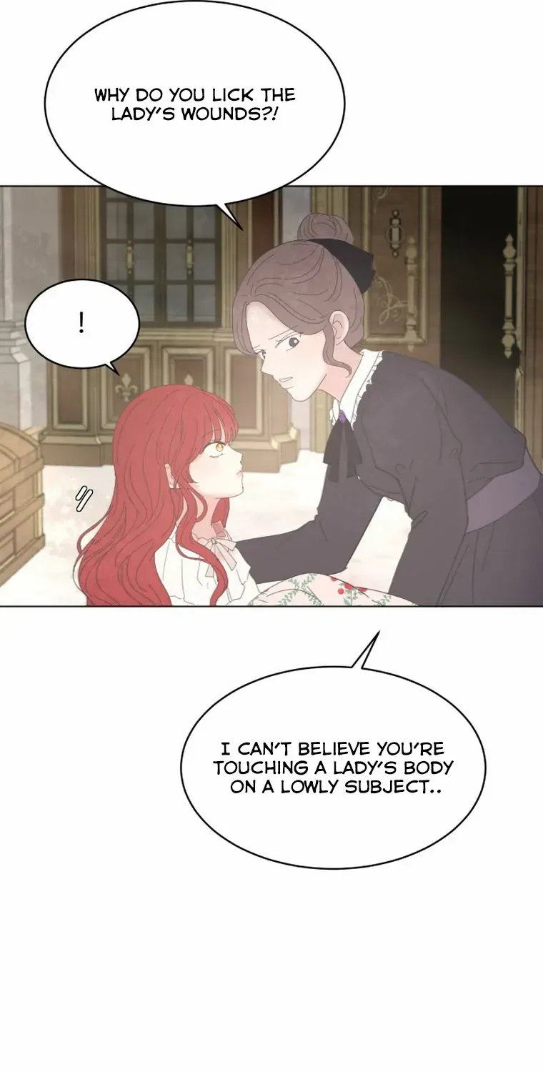 I Adopted a Male Lead From a Prison Shelter Chapter 7 page 41 - 