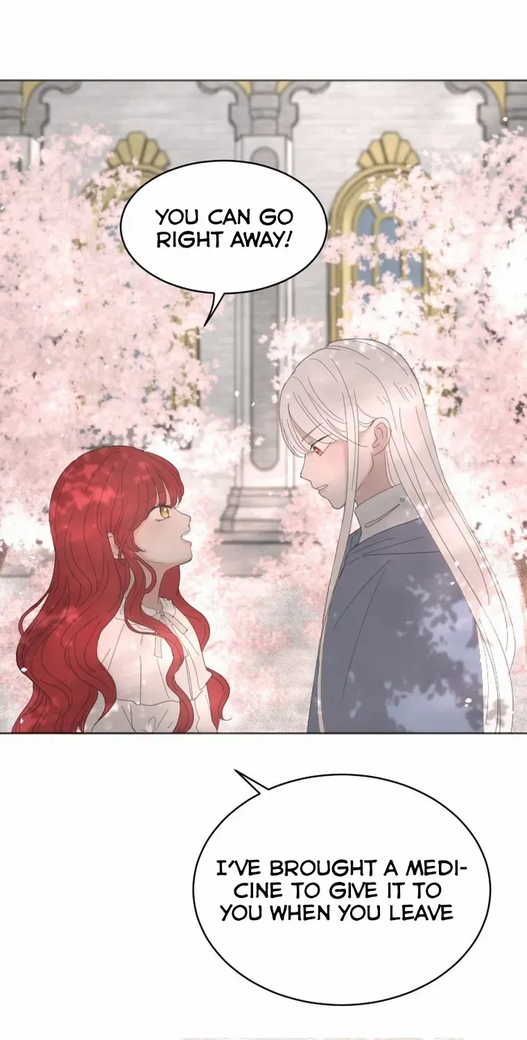 I Adopted a Male Lead From a Prison Shelter Chapter 8 page 20 - 