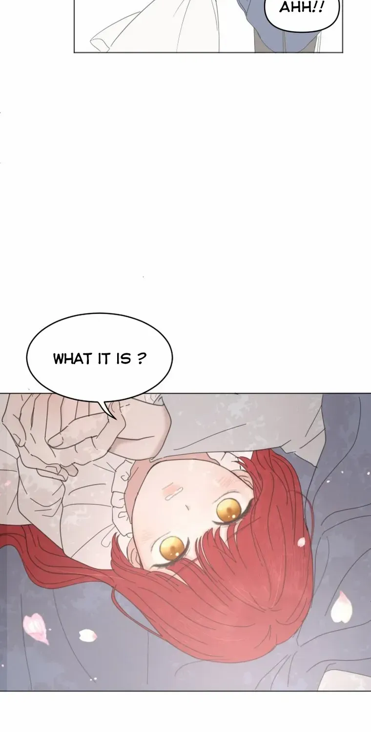 I Adopted a Male Lead From a Prison Shelter Chapter 8 page 37 - 