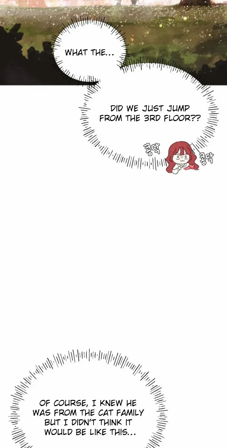 I Adopted a Male Lead From a Prison Shelter Chapter 8 page 5 - 