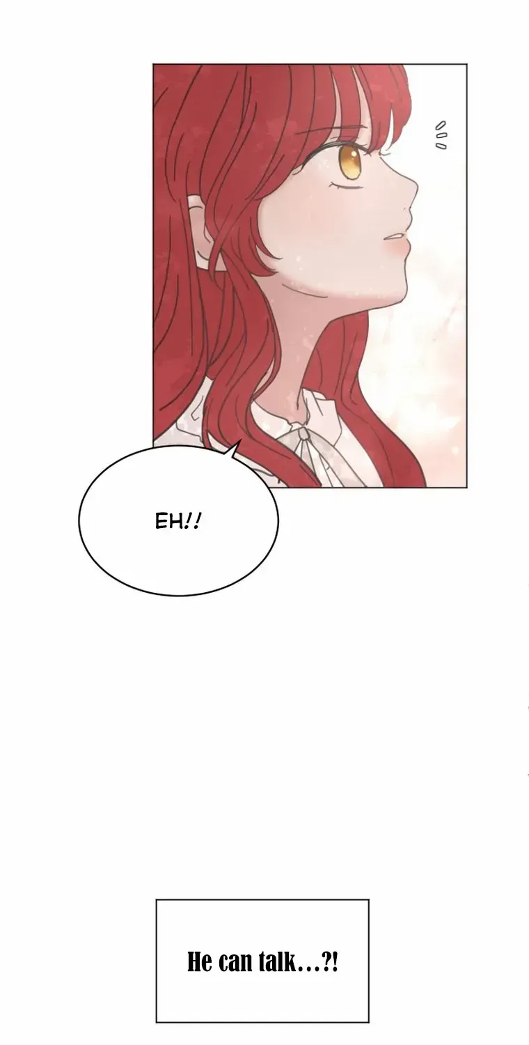 I Adopted a Male Lead From a Prison Shelter Chapter 8 page 41 - 