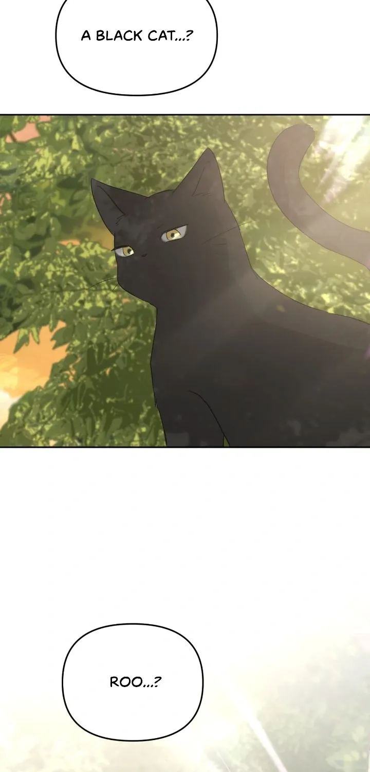 I Adopted a Male Lead From a Prison Shelter Chapter 84 page 57 - 