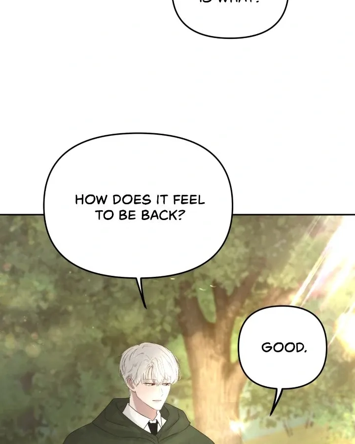 I Adopted a Male Lead From a Prison Shelter Chapter 88 page 39 - 