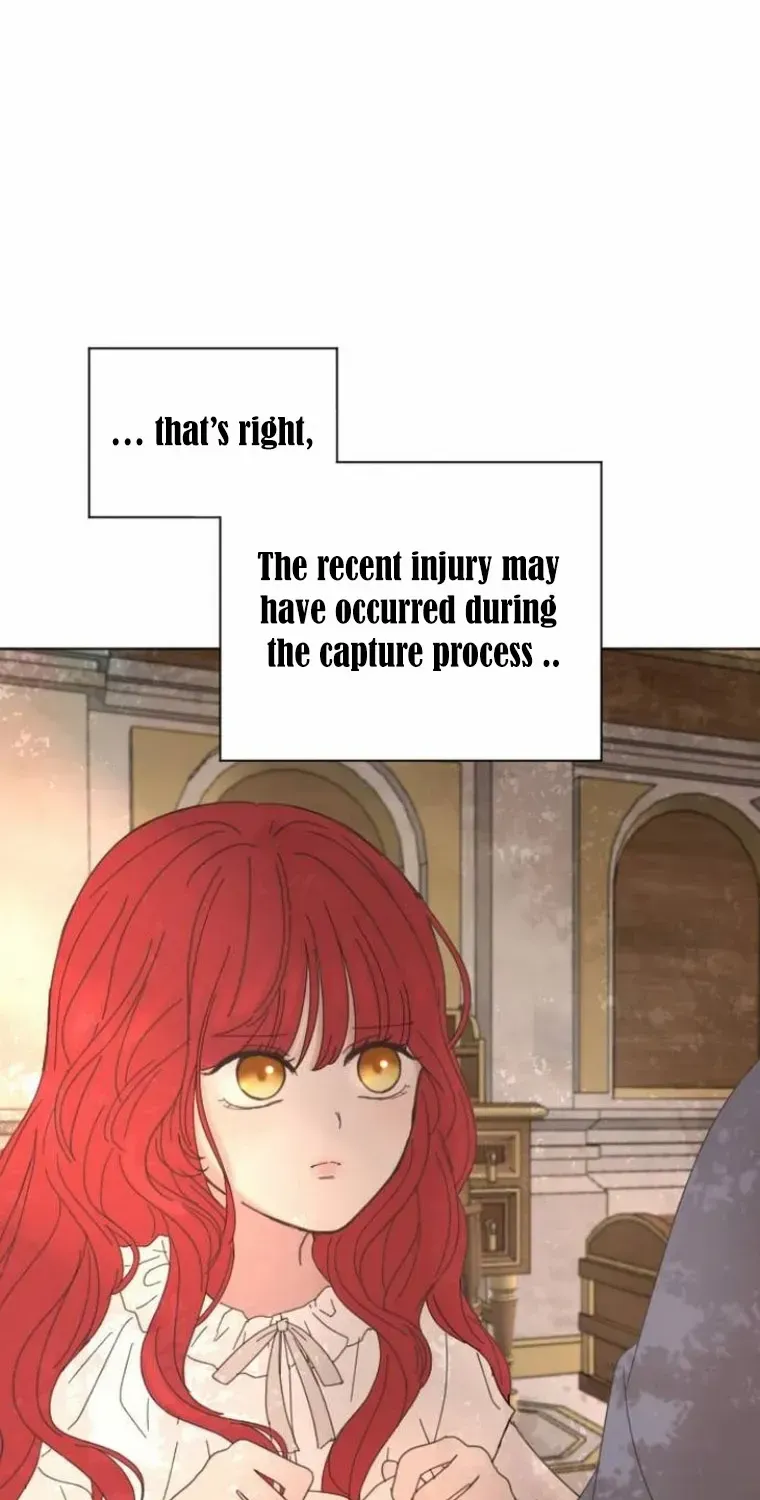 I Adopted a Male Lead From a Prison Shelter Chapter 9 page 66 - 