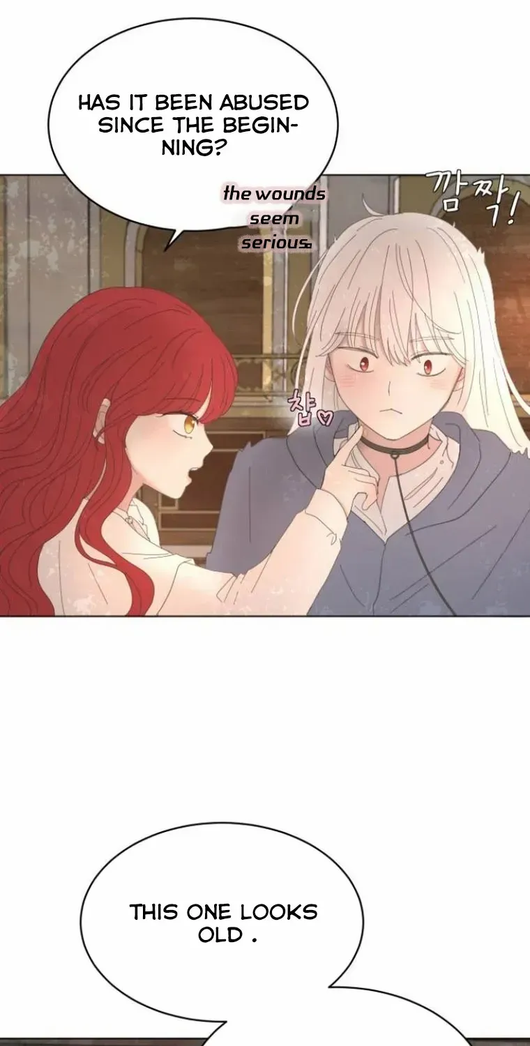 I Adopted a Male Lead From a Prison Shelter Chapter 9 page 69 - 