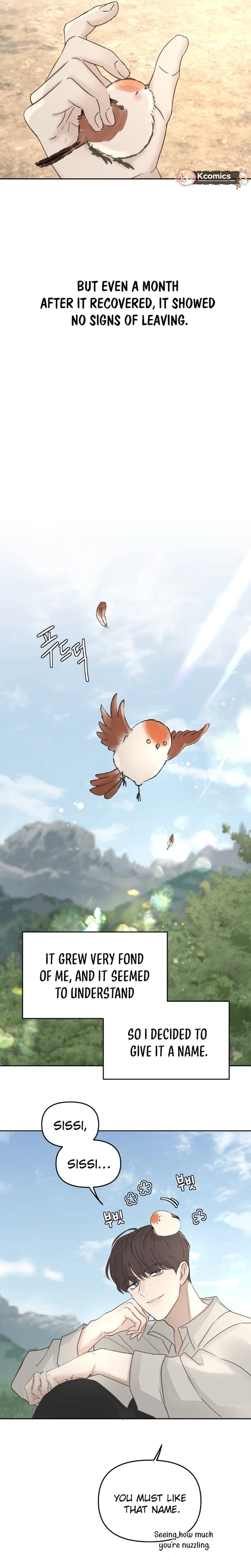 I adopted a male lead from prison shelter Chapter 104 page 13 - 
