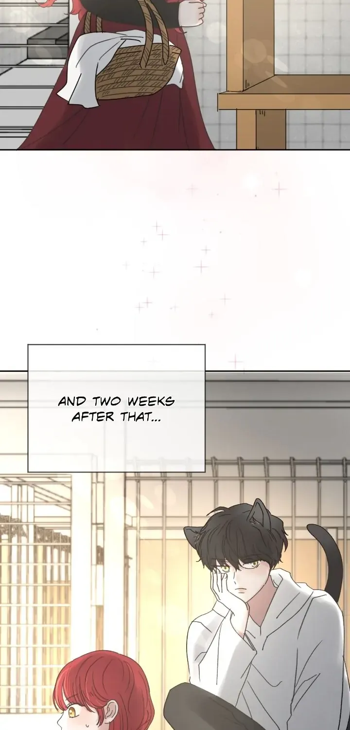 I adopted a male lead from prison shelter Chapter 18 page 11 - 