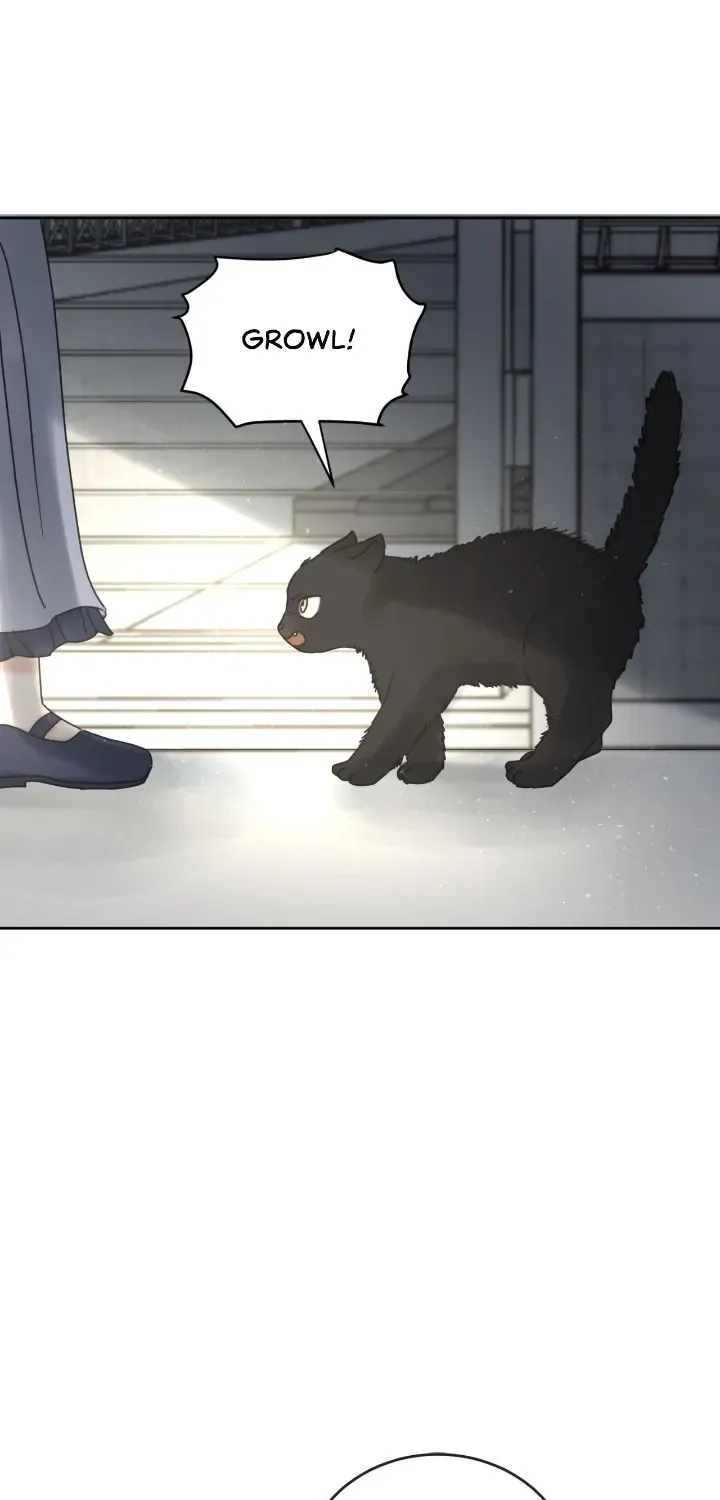 I adopted a male lead from prison shelter Chapter 18 page 5 - 