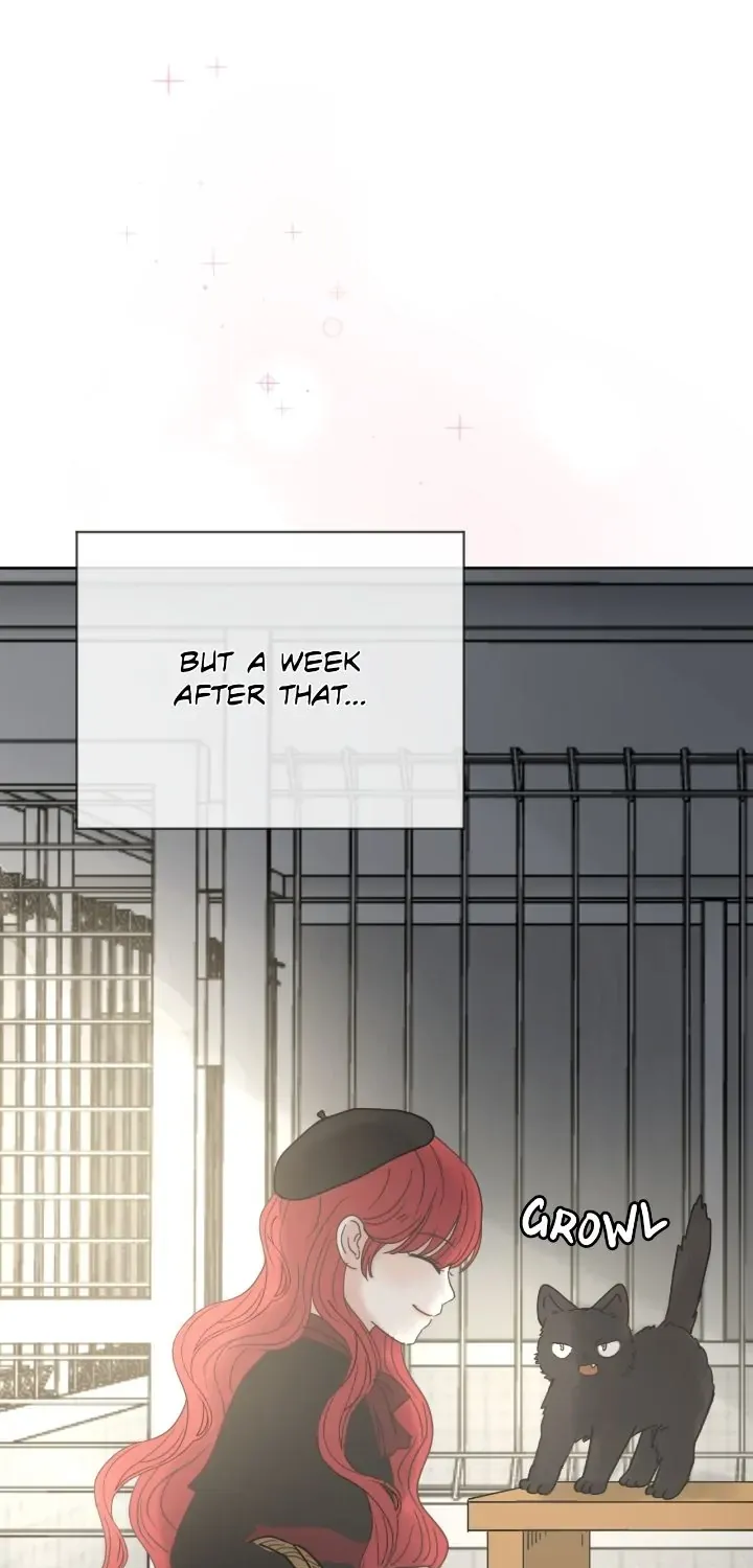 I adopted a male lead from prison shelter Chapter 18 page 10 - 