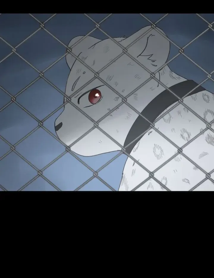 I adopted a male lead from prison shelter Chapter 20 page 68 - 