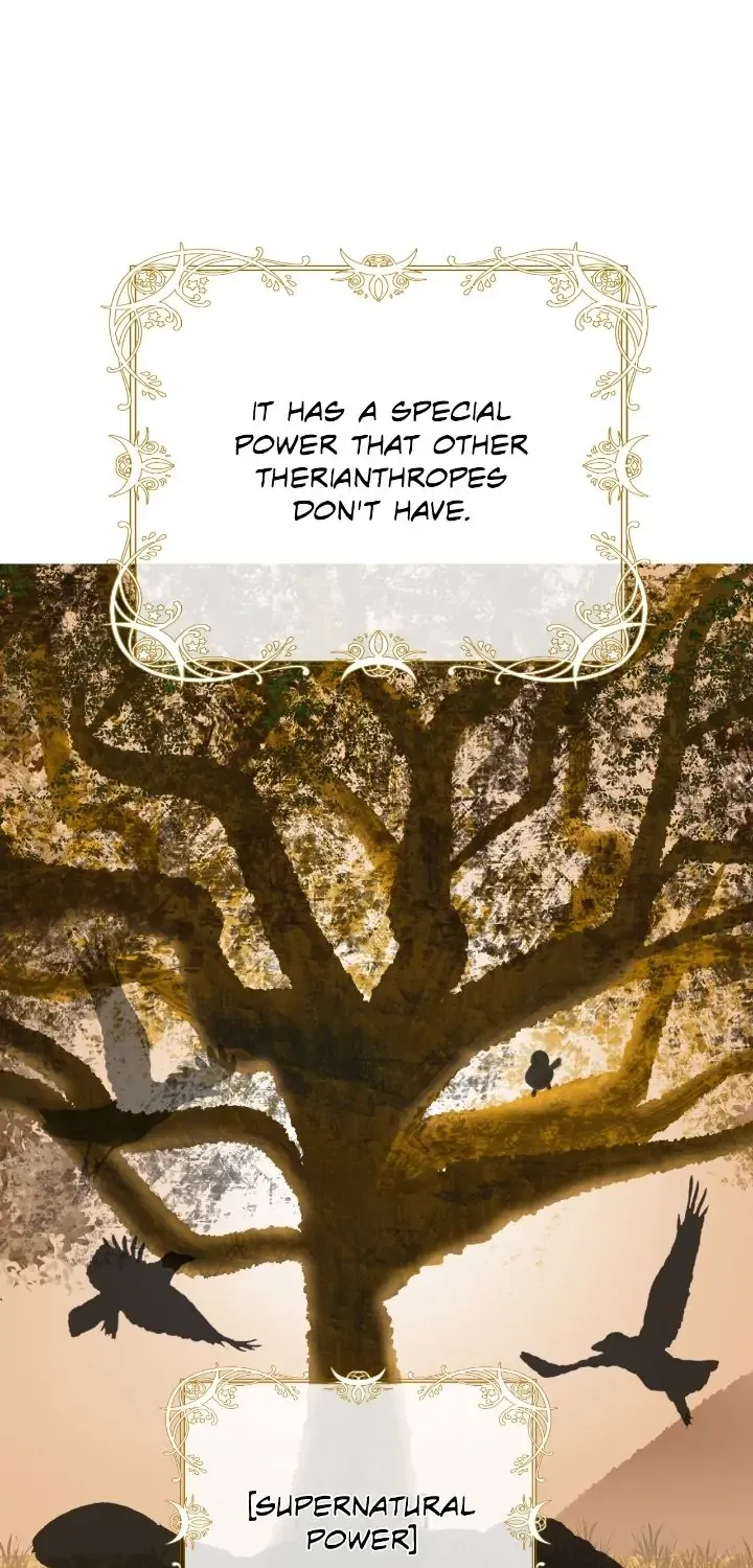 I adopted a male lead from prison shelter Chapter 28 page 13 - 