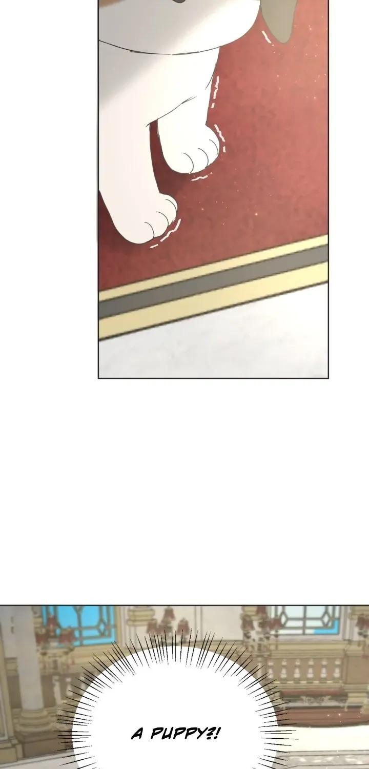 I adopted a male lead from prison shelter Chapter 4 page 60 - 