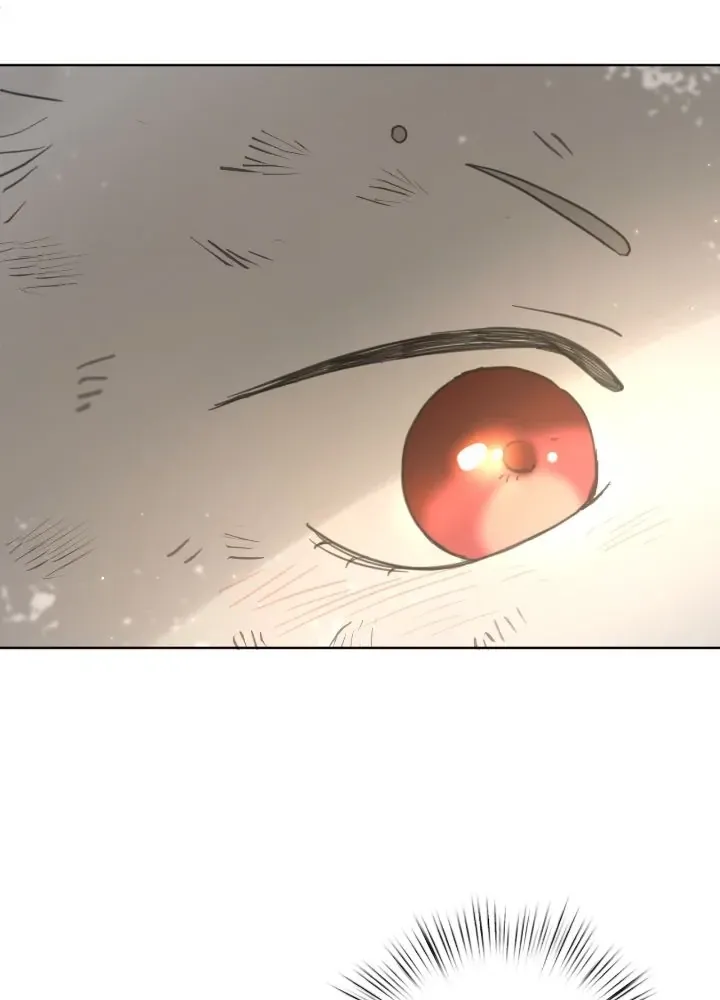 I adopted a male lead from prison shelter Chapter 6 page 101 - 