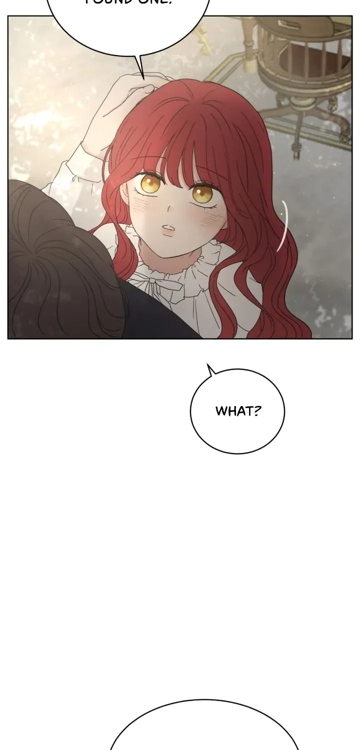 I adopted a male lead from prison shelter Chapter 6 page 7 - 