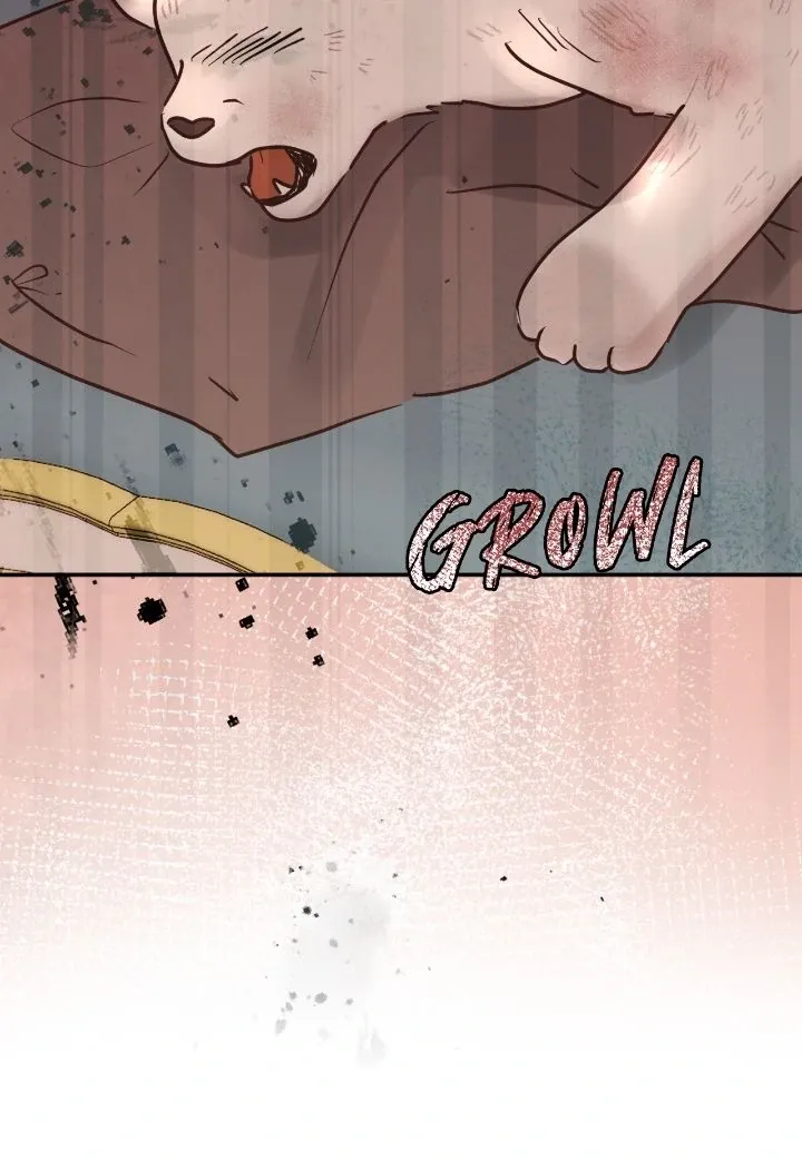 I adopted a male lead from prison shelter Chapter 68 page 69 - 