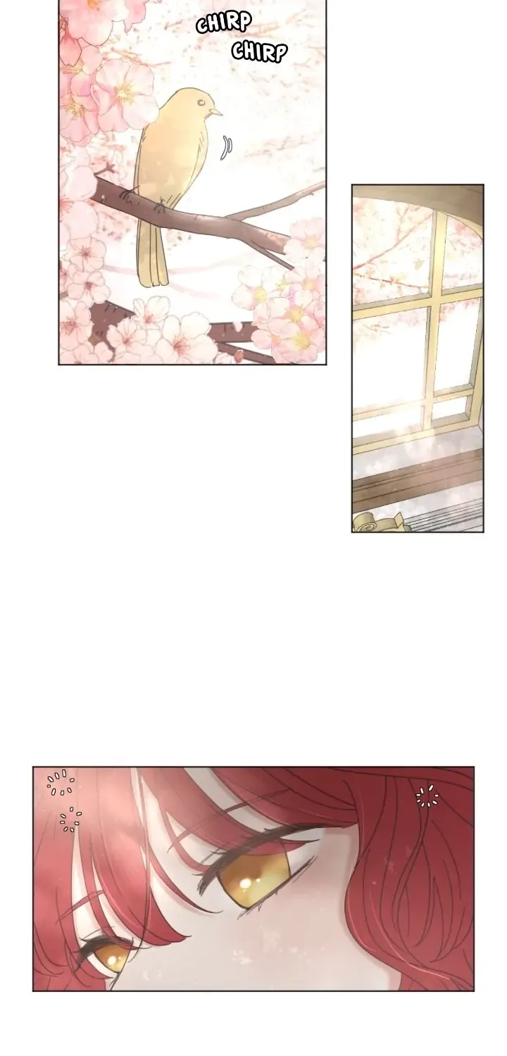 I adopted a male lead from prison shelter Chapter 7 page 13 - 