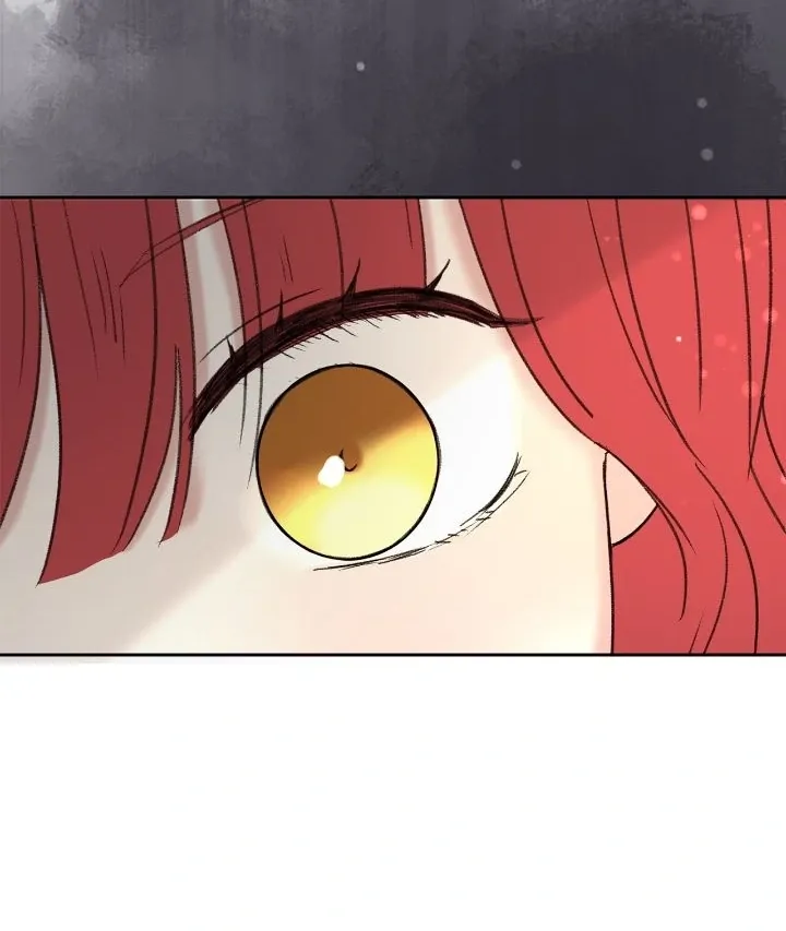 I adopted a male lead from prison shelter Chapter 70 page 48 - 