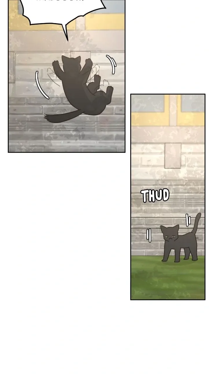 I adopted a male lead from prison shelter Chapter 84 page 29 - 